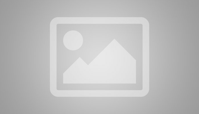 Loss of his fleet, and three