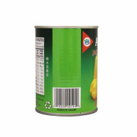 Canned Jackfruit In Syrup