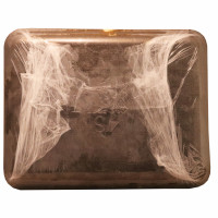 Skewered Bbq Chicken