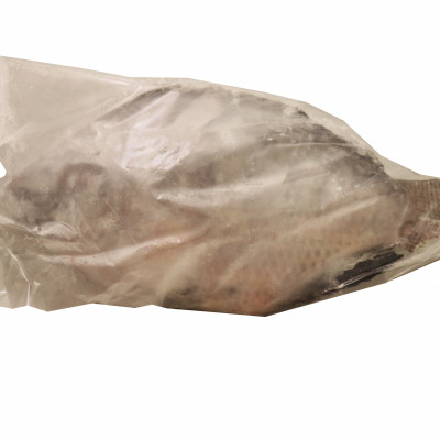 Tilapia (800) Whole Round