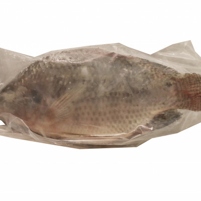 Tilapia Gutted (550)