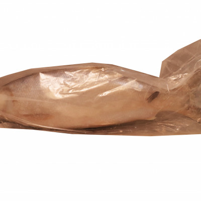 Milkfish (800) Whole Round